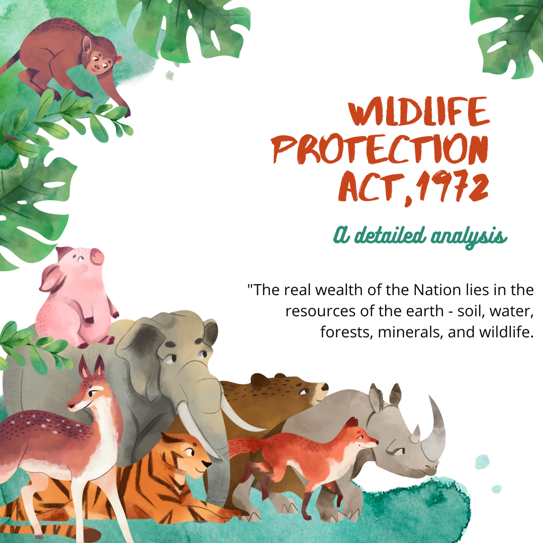 Wildlife Act